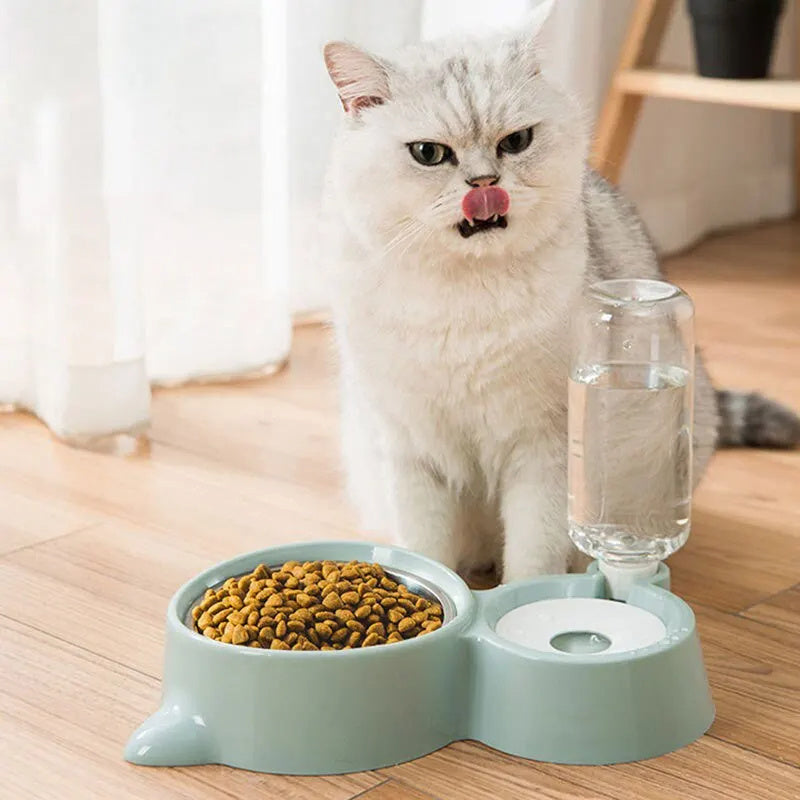 One‑Stop Feeder + Fountain for Happy, Hydrated Pets