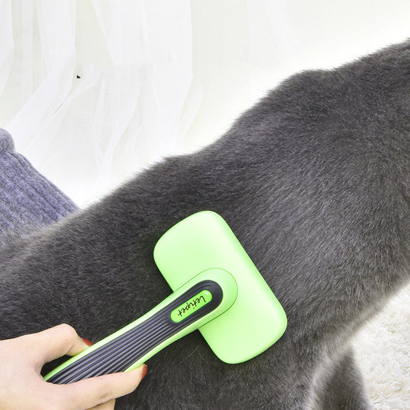 Groom and Vacuum: No More Flying Pet Fur