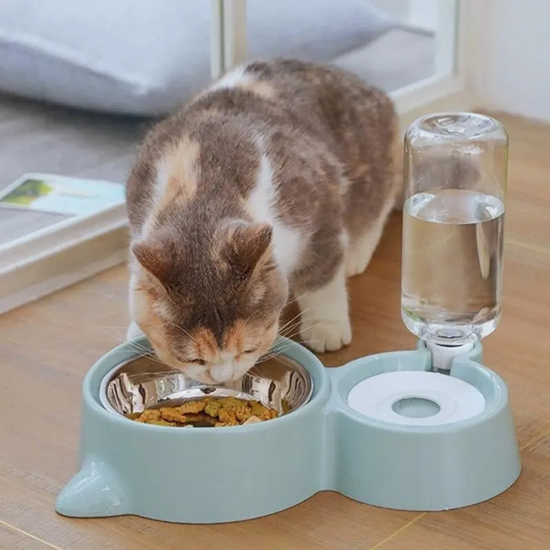 One‑Stop Feeder + Fountain for Happy, Hydrated Pets
